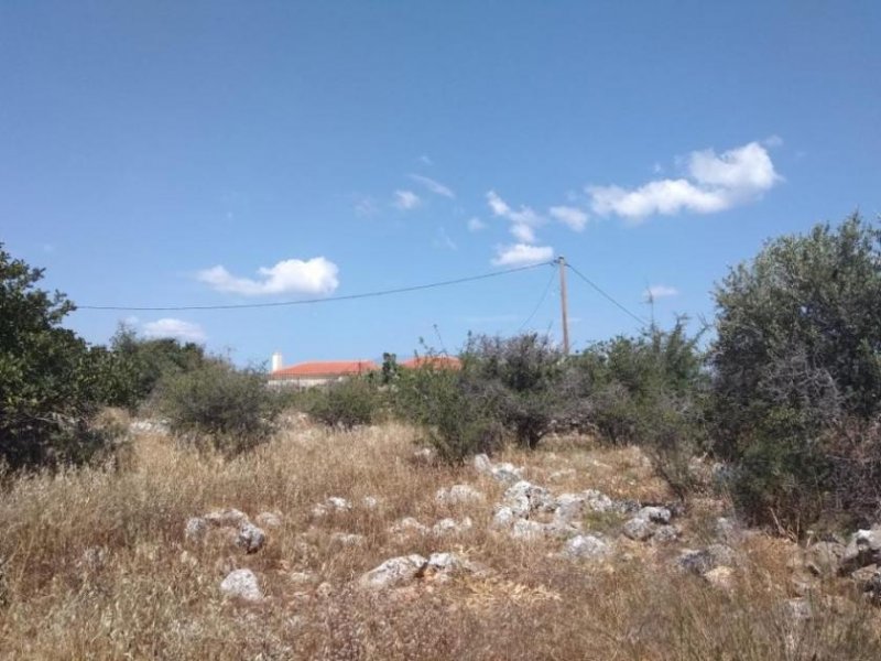 Kokkino Chorio Grundstück mit hohen Baurechten und Meerblick auf Kreta Grundstück kaufen